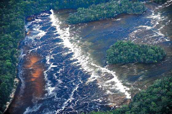 Manuel Rodríguez Becerra. tweet media