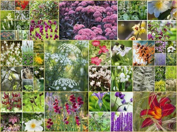 A mí también <a href="/cruzsolo/">Cruz Romón</a>: Disfrutando 100 #Plantas elegidas por Dan Pearson buff.ly/1n2S4GS   RT...