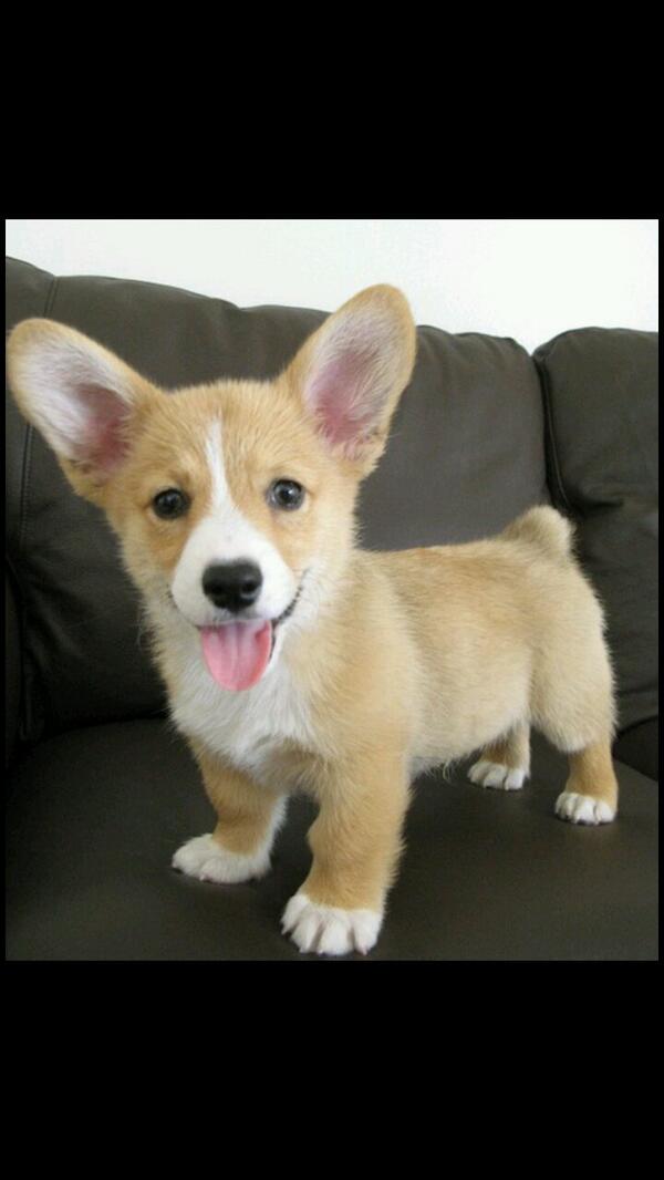 ECURoller's tweet photo. I want <3 http://t.co/Mq8wqyrmJL
