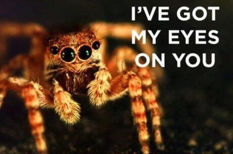OnFjolla's tweet photo. #hahahaha http://t.co/yq0T6ThzjC