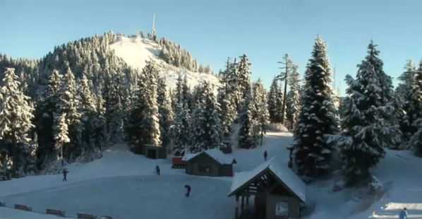 grousemountain's tweet photo. Fresh snow, check! Sunshine, check! Friday, check! Now then, who's coming up? http://t.co/EiRY3fJ0Hx