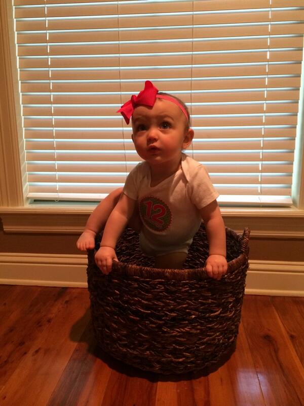 TaylorVeillon's tweet photo. Guess who is one year old! http://t.co/8G0aIrbrO0