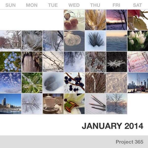 melindamlarson's tweet photo. January 2014 in pictures π· #2014project365 #CollectPhotoApp http://t.co/lJkHx8smGK