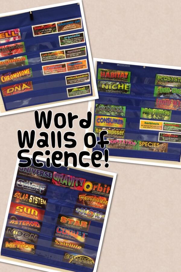 ScienceMindy's tweet photo. Word Walls of Science! http://t.co/jJQBiEQ68M http://t.co/ON1AHj7U6V