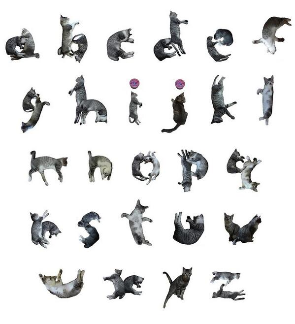 Say it with cats: NekoFont. The posed cat typeface. bit.ly/1fu3B1q
