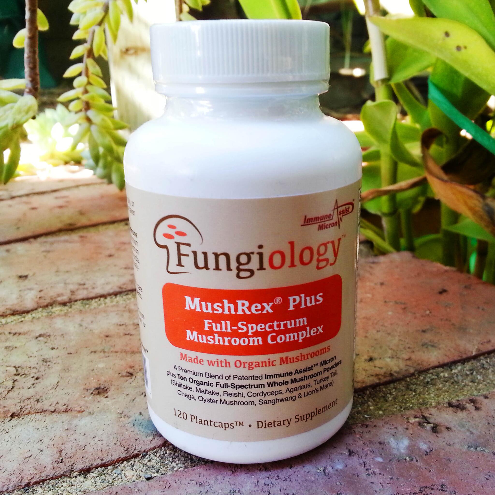 iHerb on Twitter: "If you supplement with mushrooms, why not try ...