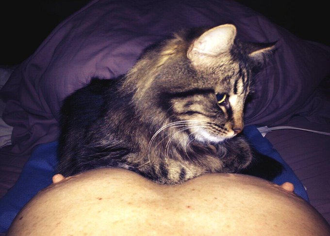 #Puss and #titties http://t.co/oc8qQ19Vyn<a href="/tag/puss"class="tags">#Puss</a><a href="/tag/titties"class="tags">#titties</a>