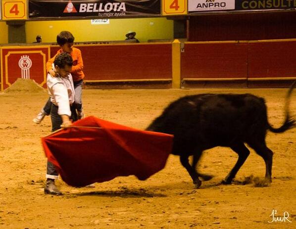 El futuro está en los niños, sigamos fomentando la afición al toro entre los más pequeños.
