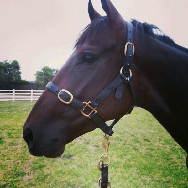 Minja having a pick after her impressive win last night