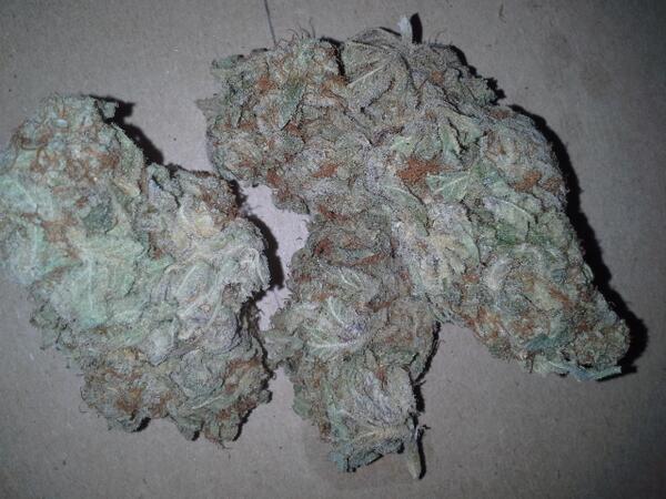 thoughtsofidiot's tweet image. What should I smoke.... this