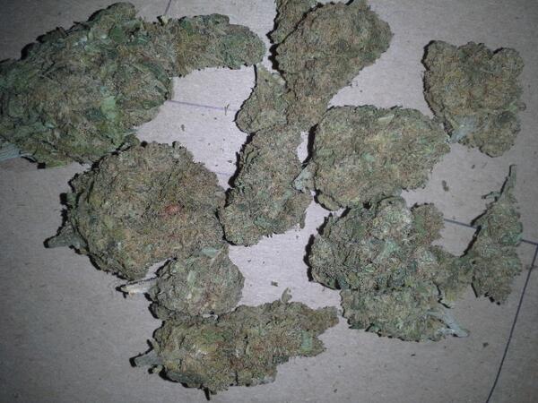 thoughtsofidiot's tweet image. Or this?