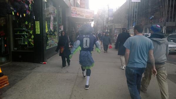 BlitzTheSeahawk tweet picture