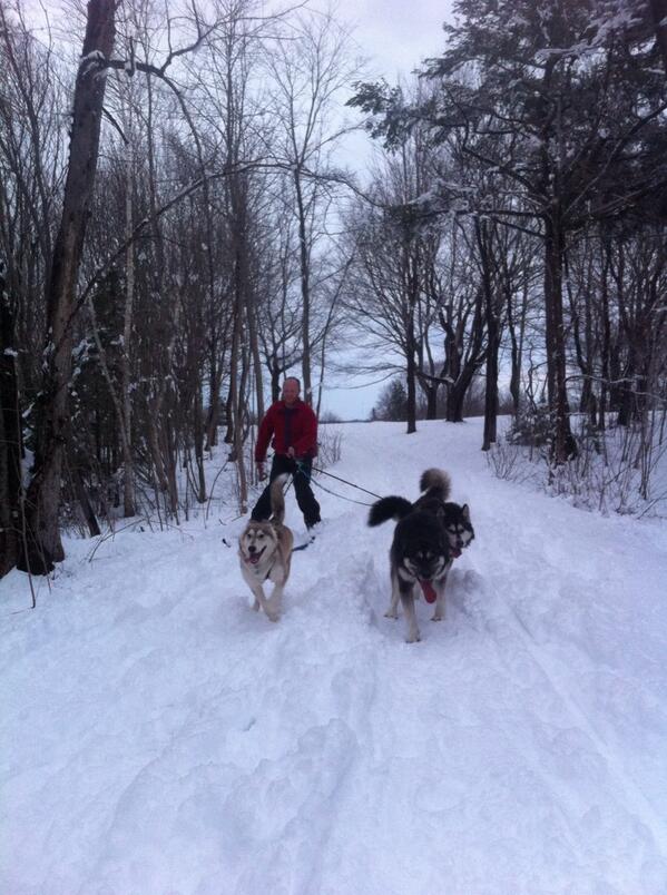 InfoMorningCB's tweet image. 2 polar researchers @cbuniversity: @CunsoloWillox &quot;@DrPatMahar  is teaching our husky pup to mush.&quot; #polarpeeps