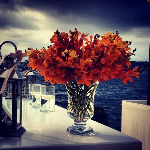 mirey59's tweet photo. Flower DesıgnBy La Bonbonniere http://t.co/zhhpQf7Ypa