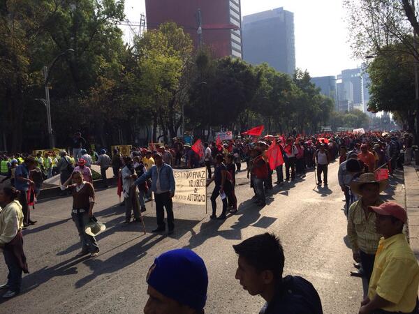 View image on Twitter