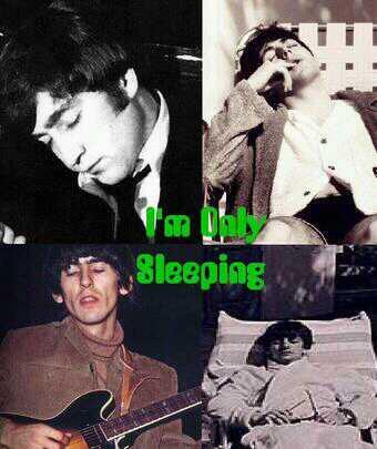 the fool of dynamos (@almistlepoter) on Twitter photo 