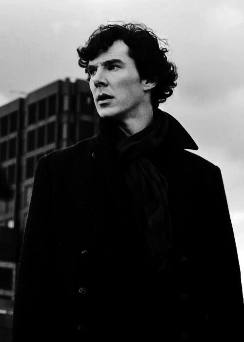 isaabeaa's tweet photo. He is just amazing... A m a z i n g π #BenedictCumberbatch #Sherlock #sherlocksnogs #sherlockreturns http://t.co/O9Kjcq97Zo