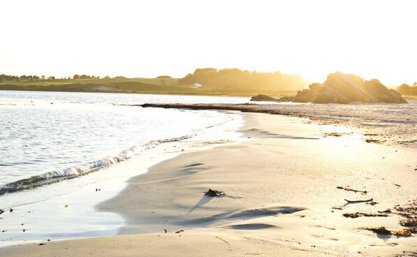 Hobstr's tweet photo. New on 500px : Golden Beach by saschawolters http://t.co/s3ZnaOz4gy