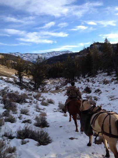 GuestRanches's tweet image. 7D Ranch taking off #outfitted custom #backcountry #trips #horse 
tinyurl.com/l7e9hue