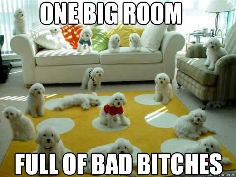 One big rom full of bad bitchazz