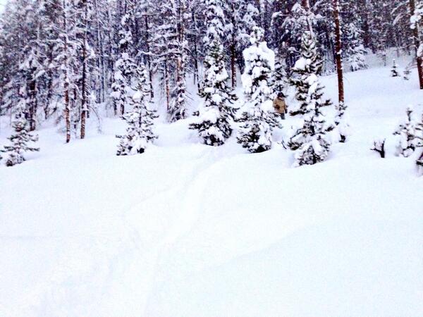 dagmaramach's tweet photo. Seth in our fluffy wonderland. #ThisStuffIsAwesome http://t.co/QiH8Ym2LFe