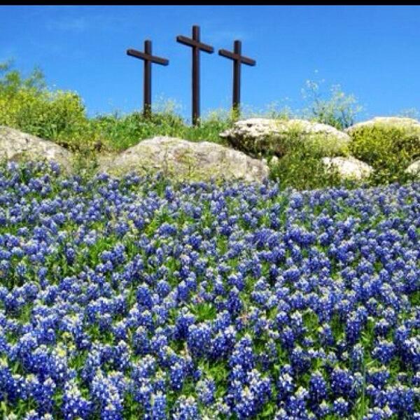 🇺🇸ittybittycrenshaw🇺🇸 tweet media