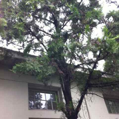 RitawatiT's tweet photo. @JocelynViviene the pic http://t.co/nUbqNEzYb4