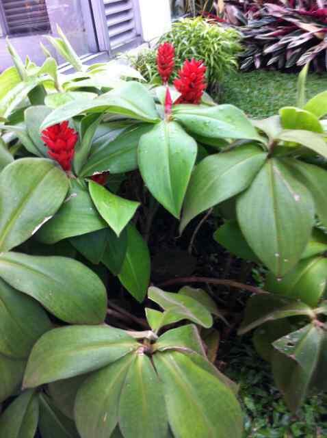 RitawatiT's tweet photo. @JocelynViviene http://t.co/sjYEquGdmQ