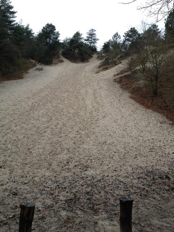 Het zonnetje komt erbij! Genieten van de Schoorlse Duinen #Winterwandeling #NHD