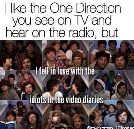 BeLovedByLou's tweet photo. So true! #onedirection http://t.co/TRLskG94Z3