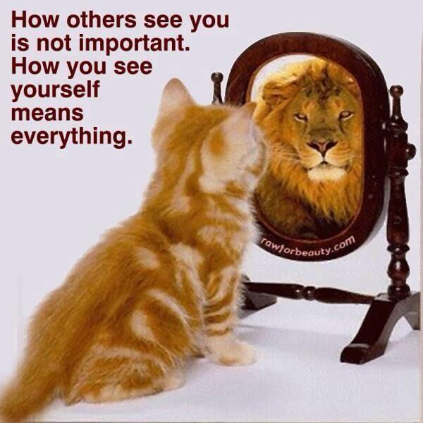 Just thought I would share this message have have a great day guys. 😁