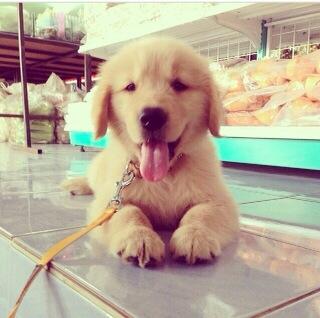 _cbbt's tweet photo. Yo lo quiero. http://t.co/xJAABJoIHU
