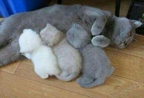 Kartuş Bitmiş Lan, Son Püsüğe Hiç Renk Kalmamış.