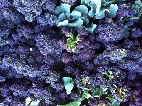 ExchangeLDN's tweet photo. We've come over all purple! http://t.co/nydSAJ8f0y