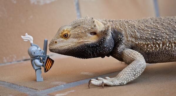 Dr Macarrón tweet media