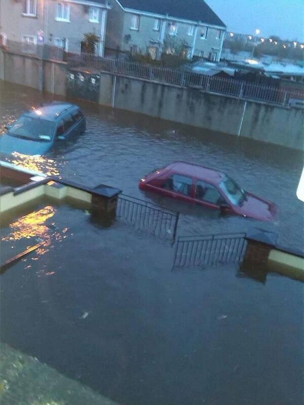 Pet Paws tweet media