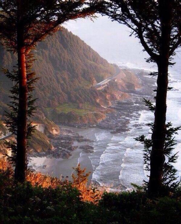 ThatIsEarth's tweet image. Oregon Coast