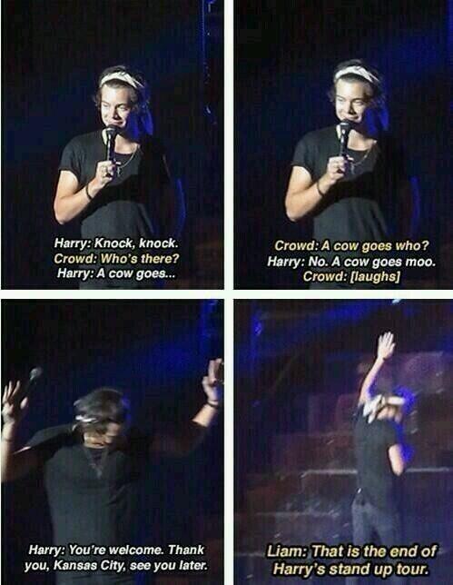 stephaniee72_'s tweet image. @Harry_Styles happy birthday c: my birthday is next week :) we cool #HappyBirthdayHarry #samemonth I love you :*