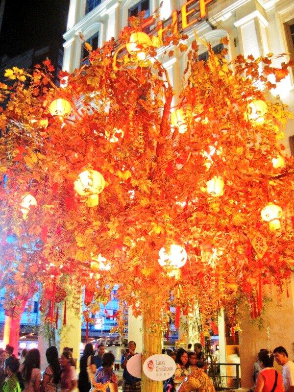 superporkypig's tweet image. I will be lucky this year. #luckytree #woodenhorse #GongXiFaCai