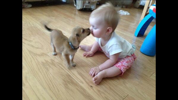 weavertribe's tweet photo. #KissForPeace http://t.co/sJDc6t5FET