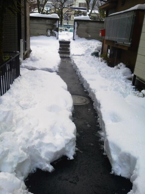 近所 町内会のありがたさ T T 身にしみる大雪 雪かき これは防災の第一歩 Togetter 近所 町内会のありがたさ T T 身にしみる大雪 雪かき これは防災の第一歩 Togetter