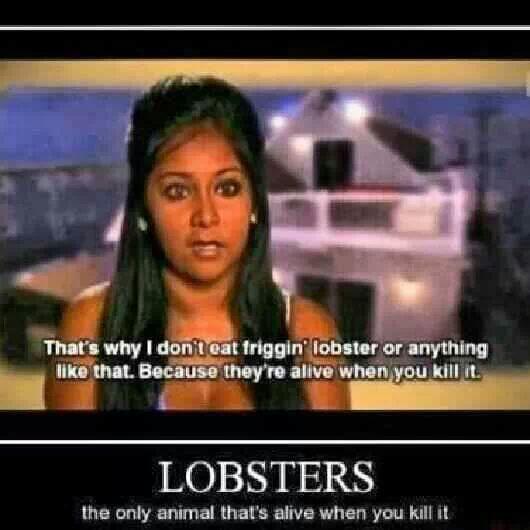 moonchild62589's tweet photo. @snooki see how stupid and useless you are to the world? http://t.co/SVjMyZGYbN