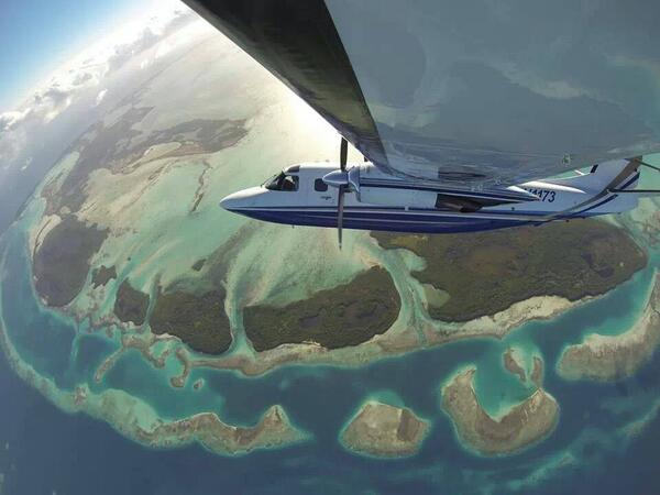 Know's tweet image. Plane Selfie