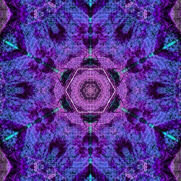 WayneEdfors's tweet image. #FANCYform #edfors