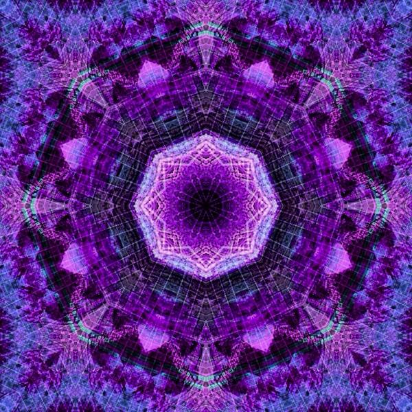 WayneEdfors's tweet image. #FANCYform #edfors