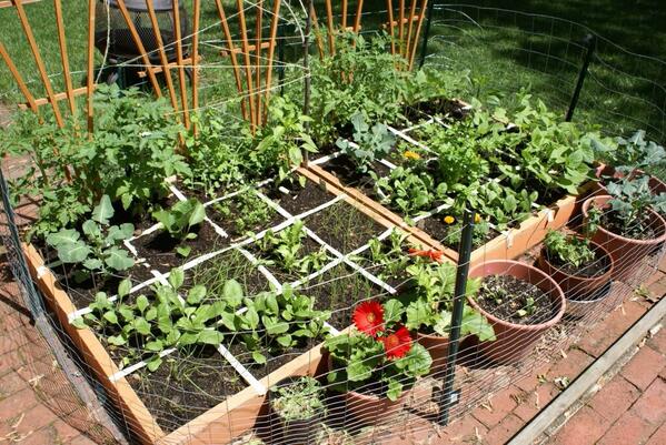 Square foot garden inspiration.