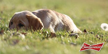 It’s a perfect day to have the best time. #BestBuds