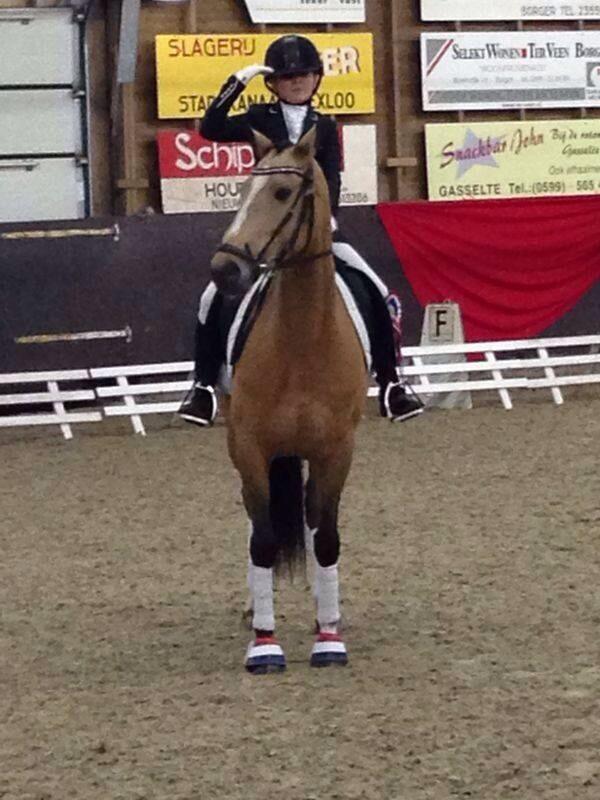 RVPCDeHullen's tweet photo. Emma Tinge is met Coelenhage's Roxette Reserve Kampioen van Drenthe L2 cat D! Gefeliciteerd! @HullenDe http://t.co/uQb0juQMi6