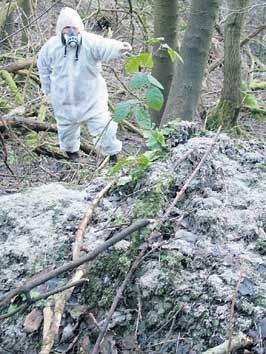 FAQAsbestos's tweet photo. Questions About Asbestos http://t.co/JX0wBDbftJ http://t.co/vql8V2v4Hc http://t.co/P6plFap4eV