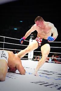 MMAHistoryToday's tweet photo. Feb1.2004

Mirko "CroCop" Filipović Knocks Out Ron Waterman after landing a series of Vicious Soccer Kicks @ PRIDE 27 http://t.co/nEADXpYL0j